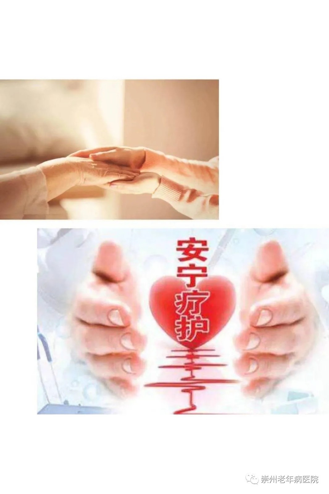 2.webp.jpg