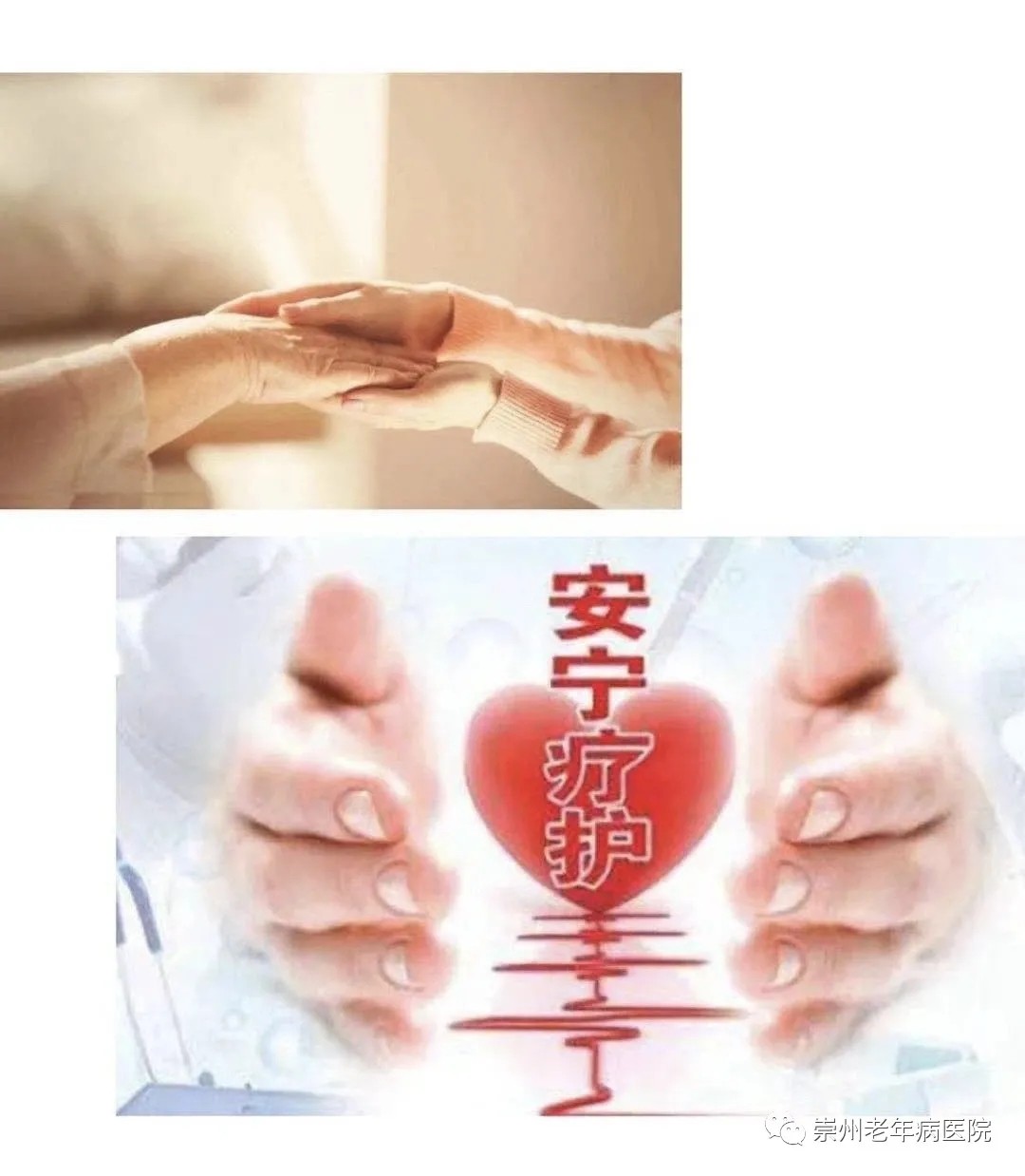 5.webp.jpg
